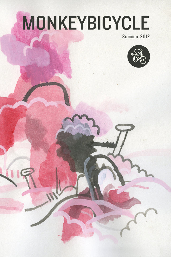 Cover image for Monkeybicycle Issue 9 ISBN 9781941088142